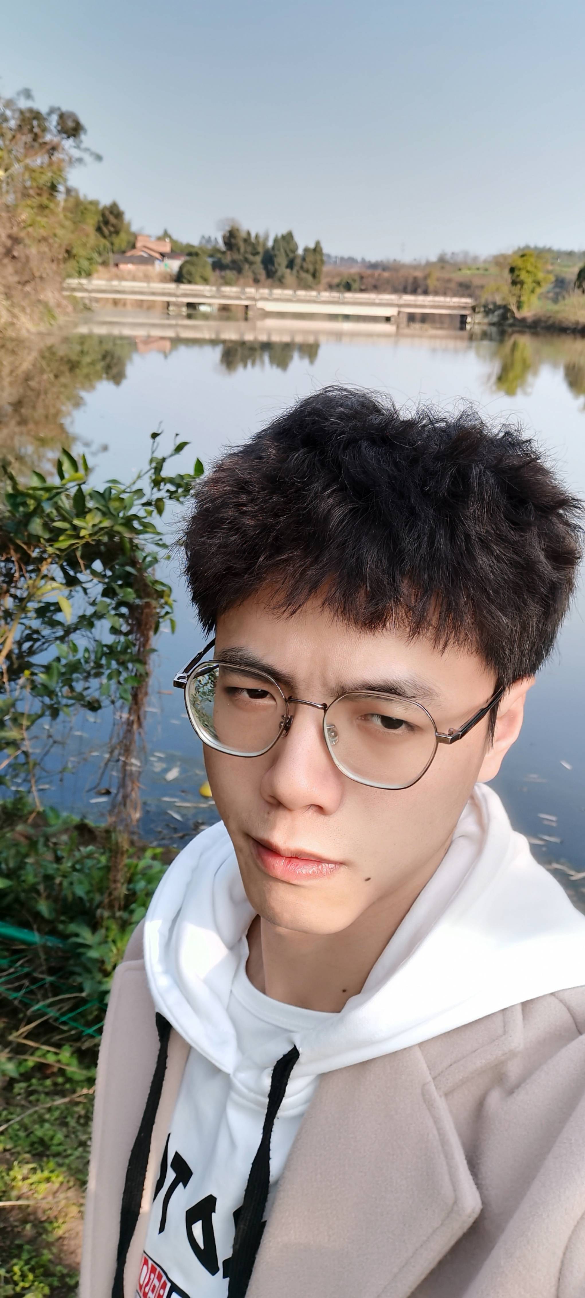 玫瑰圆规小鬼的照片