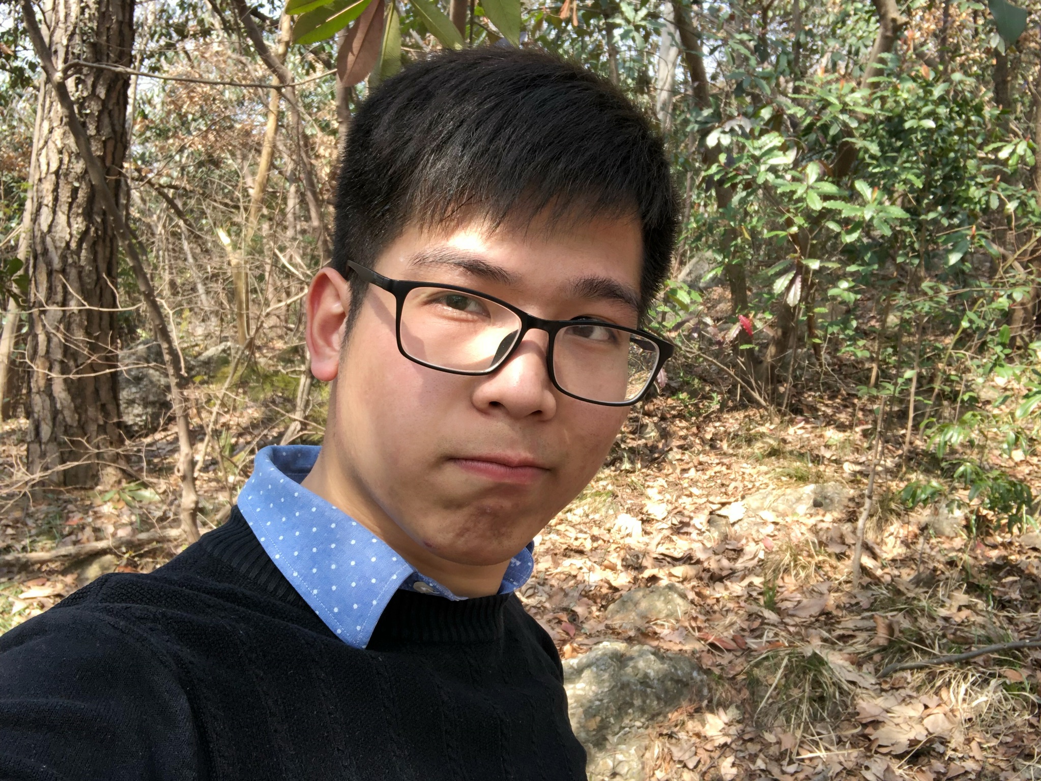 森森416的照片