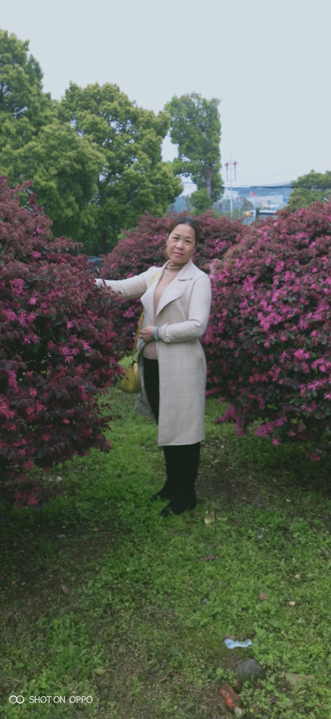 会员577769658的照片