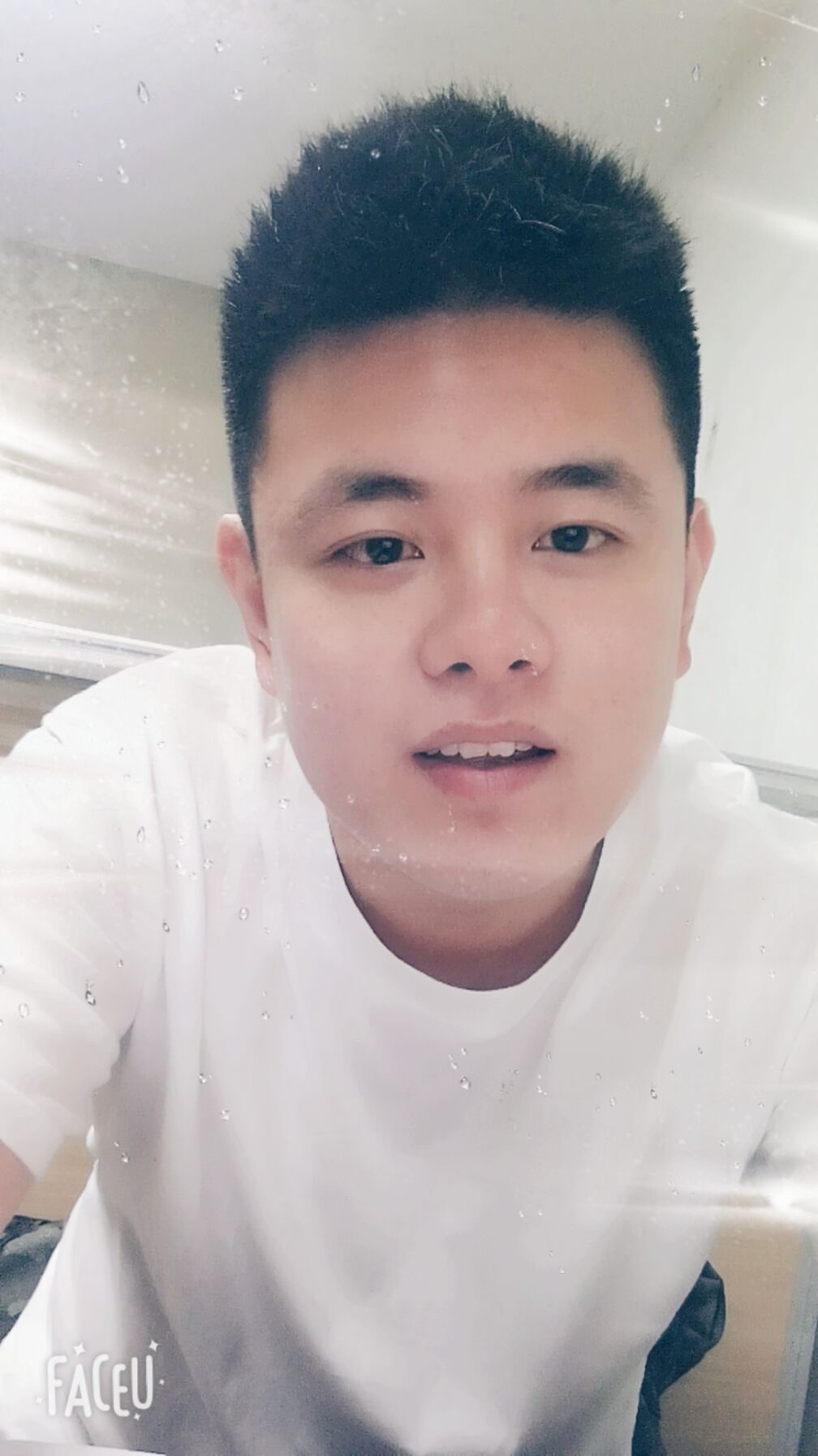 有梦的小狼狗的照片