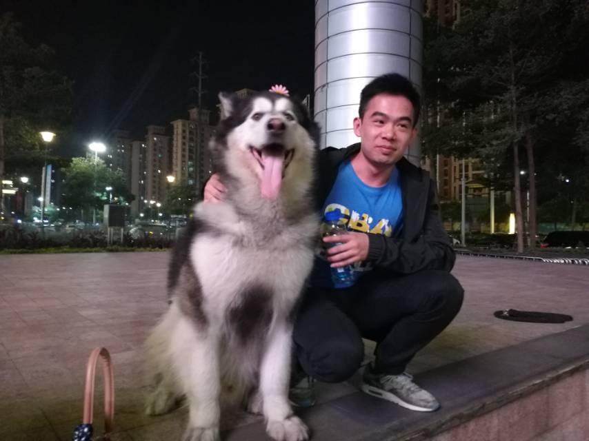 会员540612362的照片