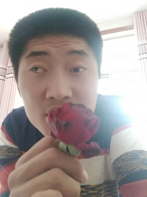 鹏鹏找真爱的照片