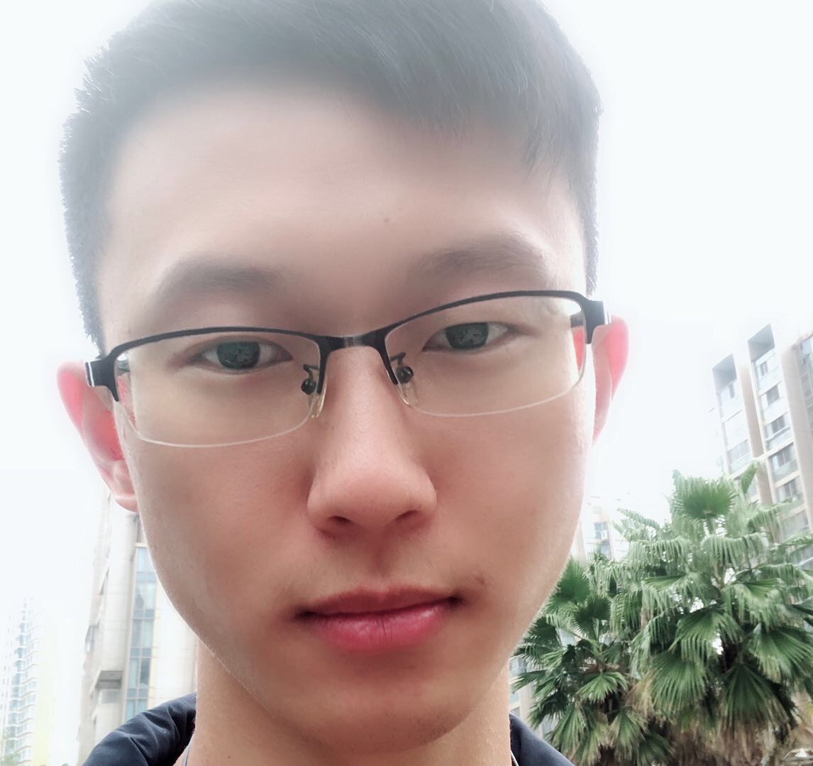 叶已掉落的照片