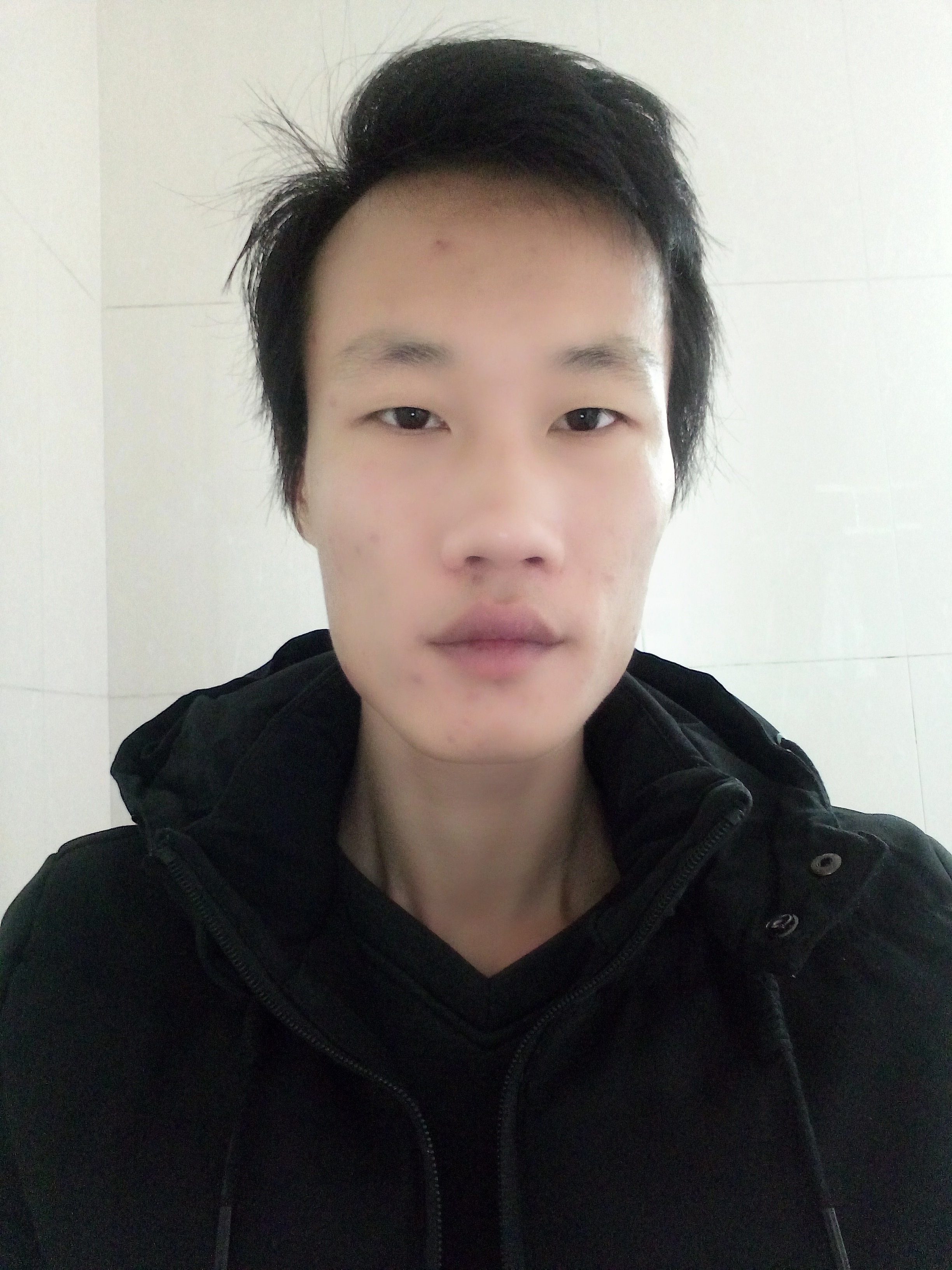 玉麒麟书法的照片