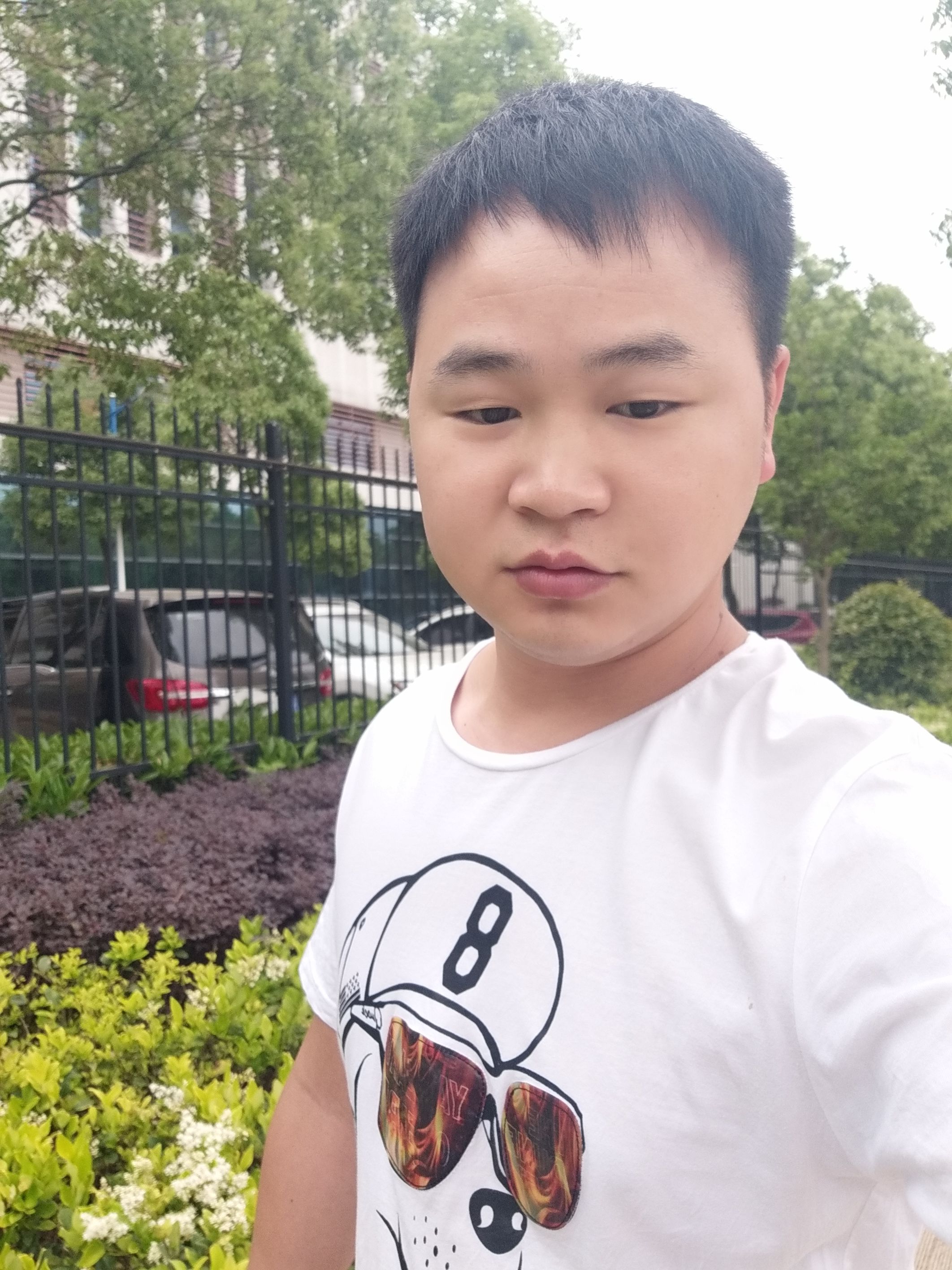 清风徐来清风的照片