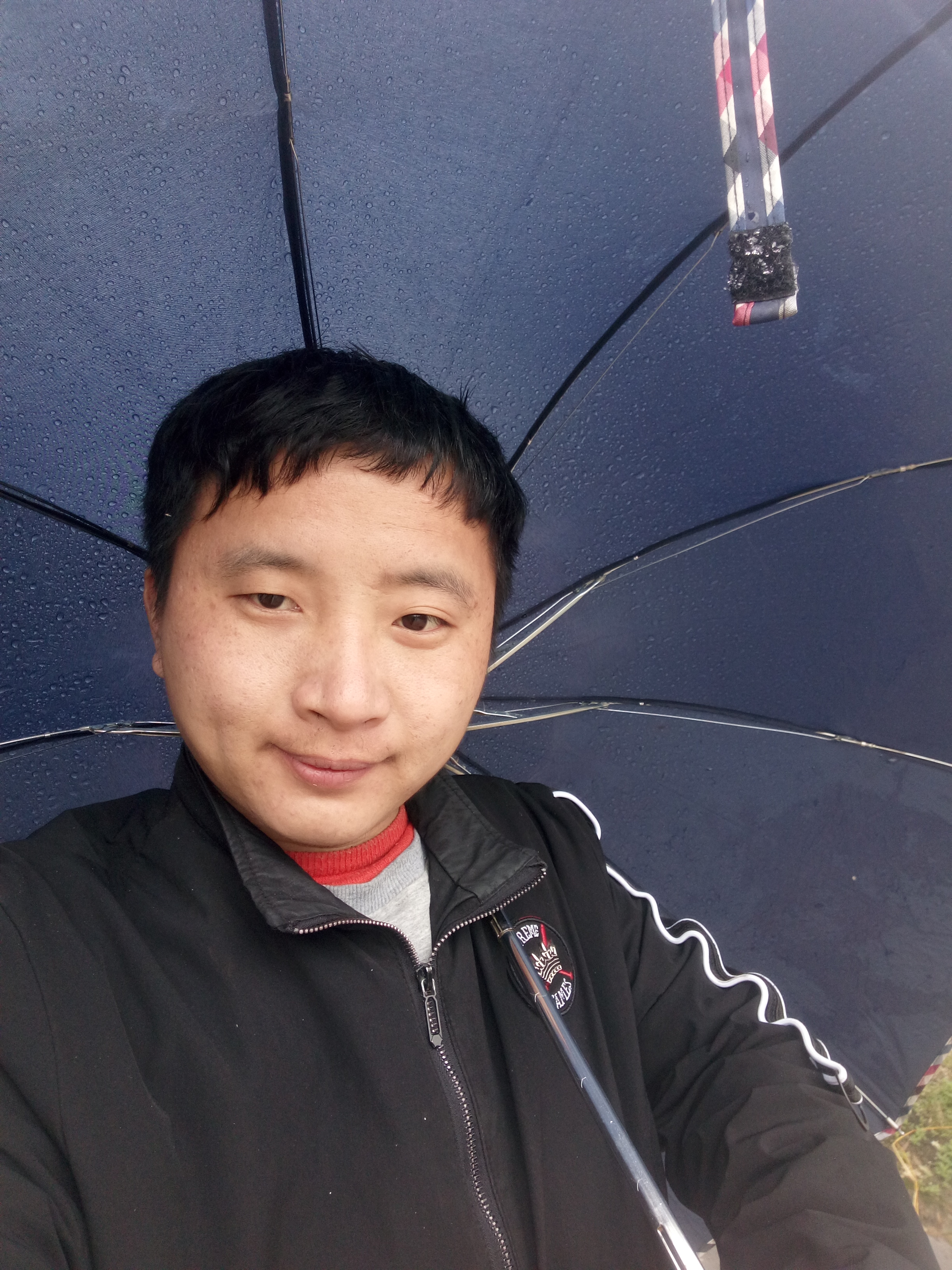 飞狮的照片