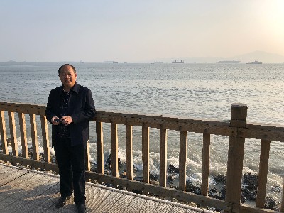 泰山顶上一青松的照片