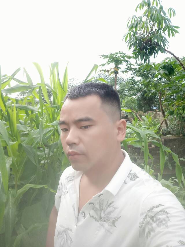 会员661080227的照片
