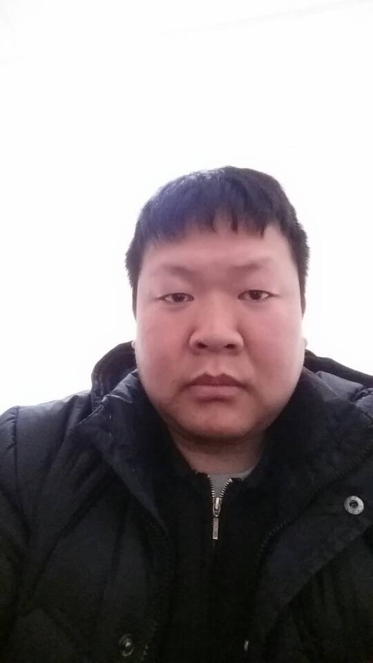 标致老虎的照片