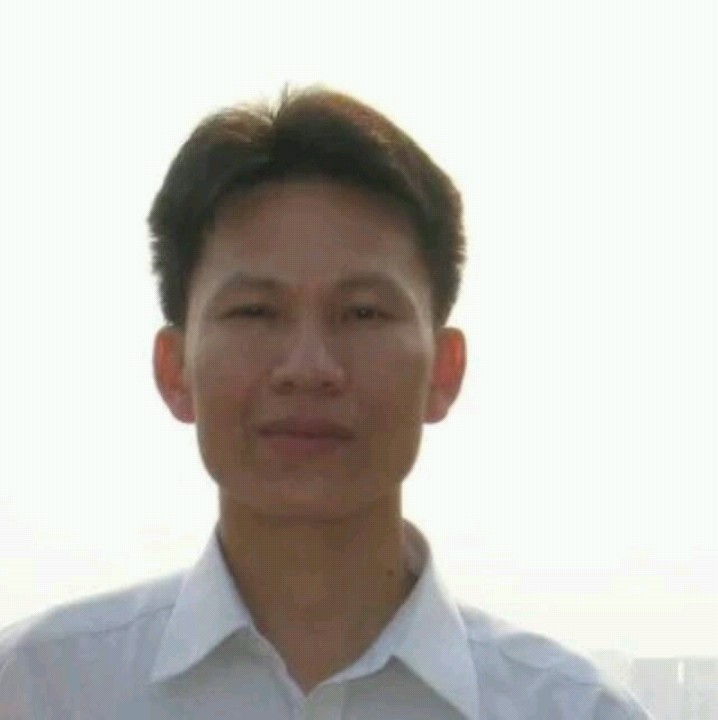 老实八角的叶子的照片