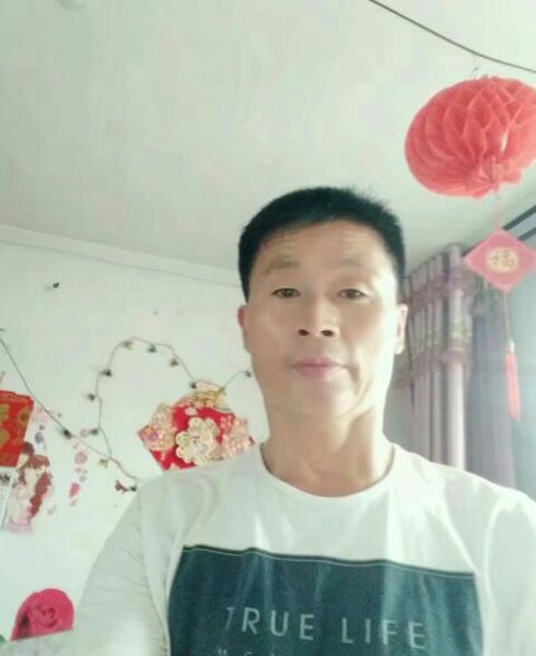 阳光等爱的照片