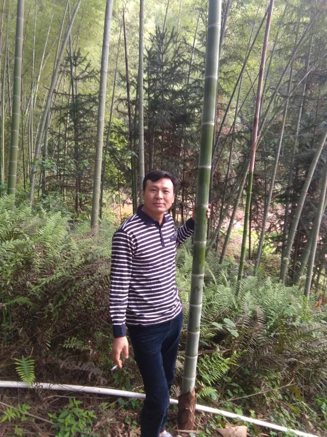 会员615192066的照片
