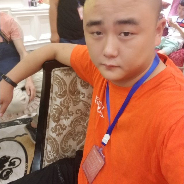 假装风雅的照片