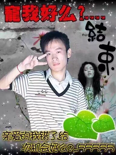 大宝520的照片