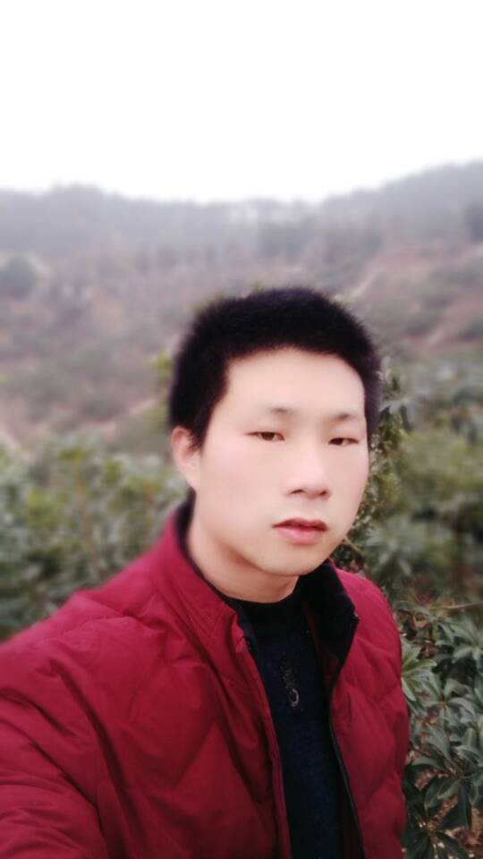 缘分之城的照片