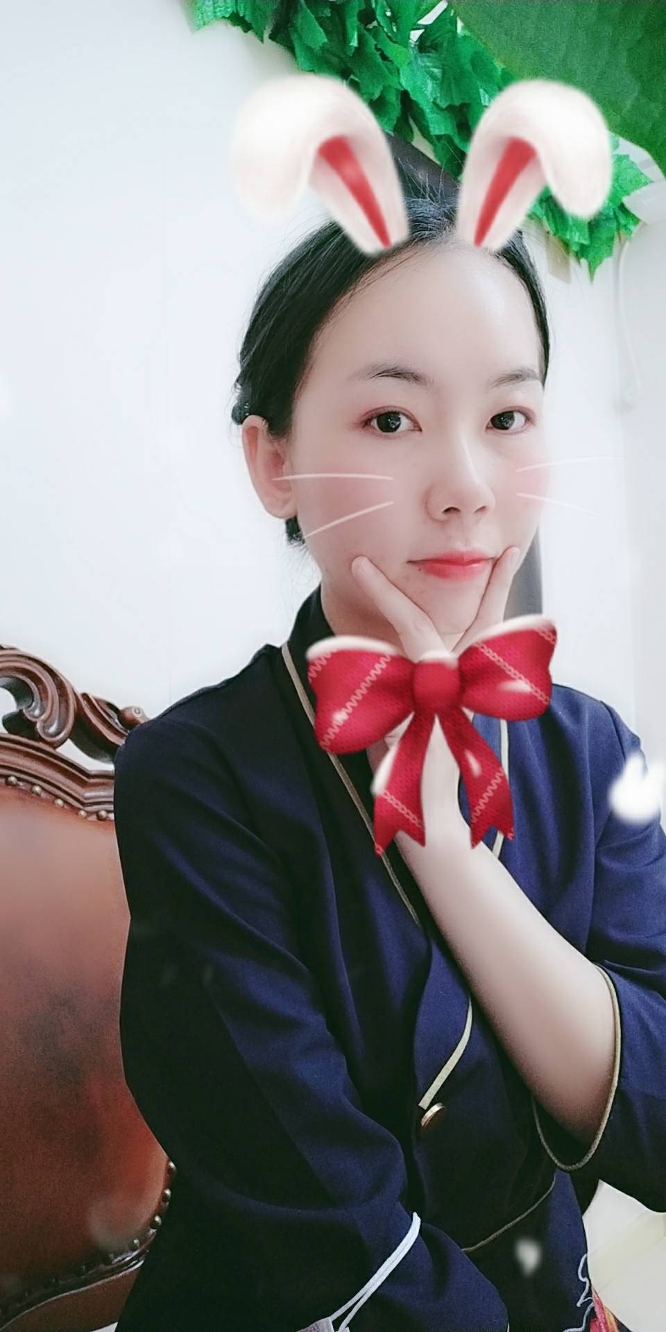 阿尔卑斯、的照片
