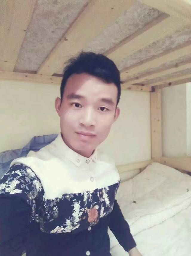 冷静说惊鸿的照片