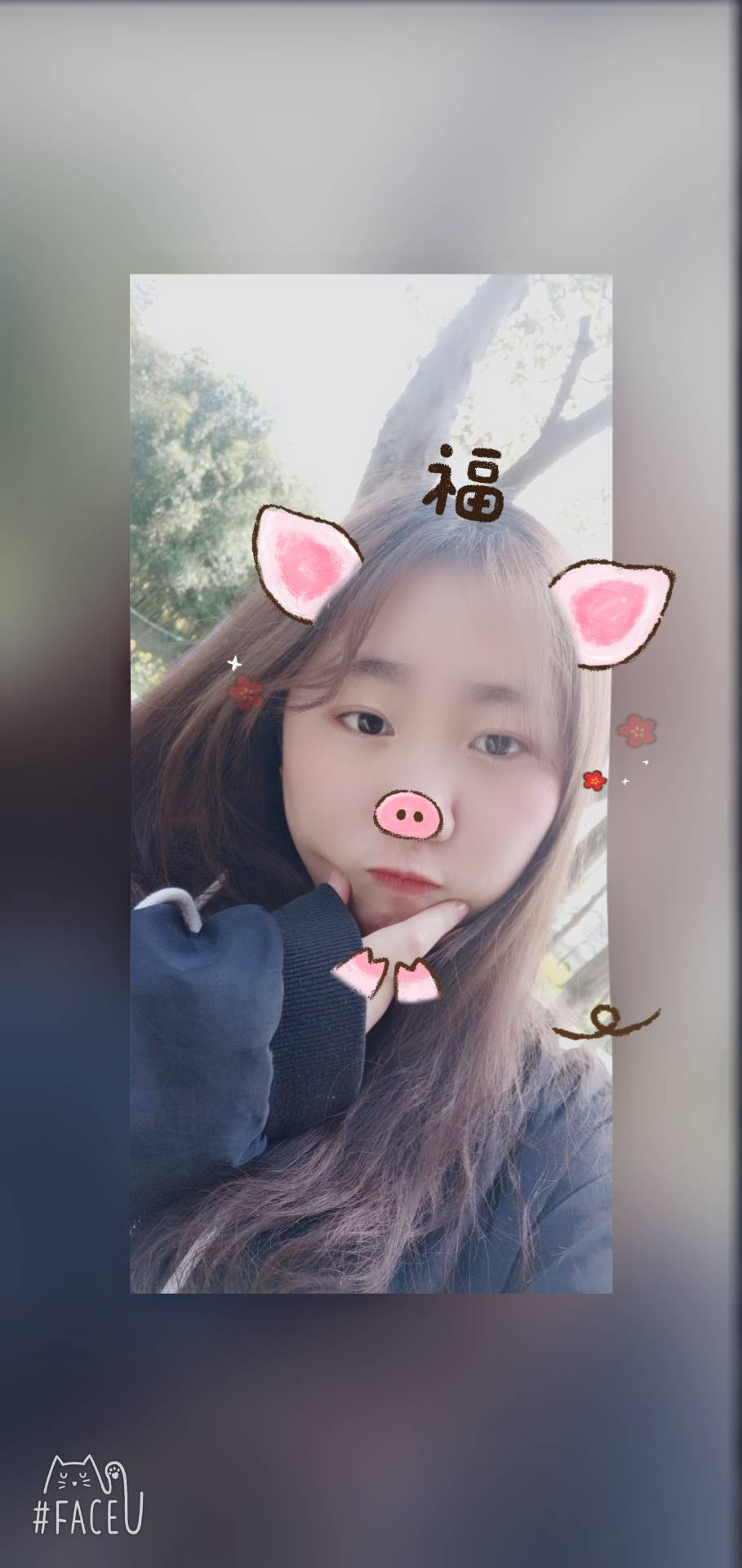 会员666363437的照片