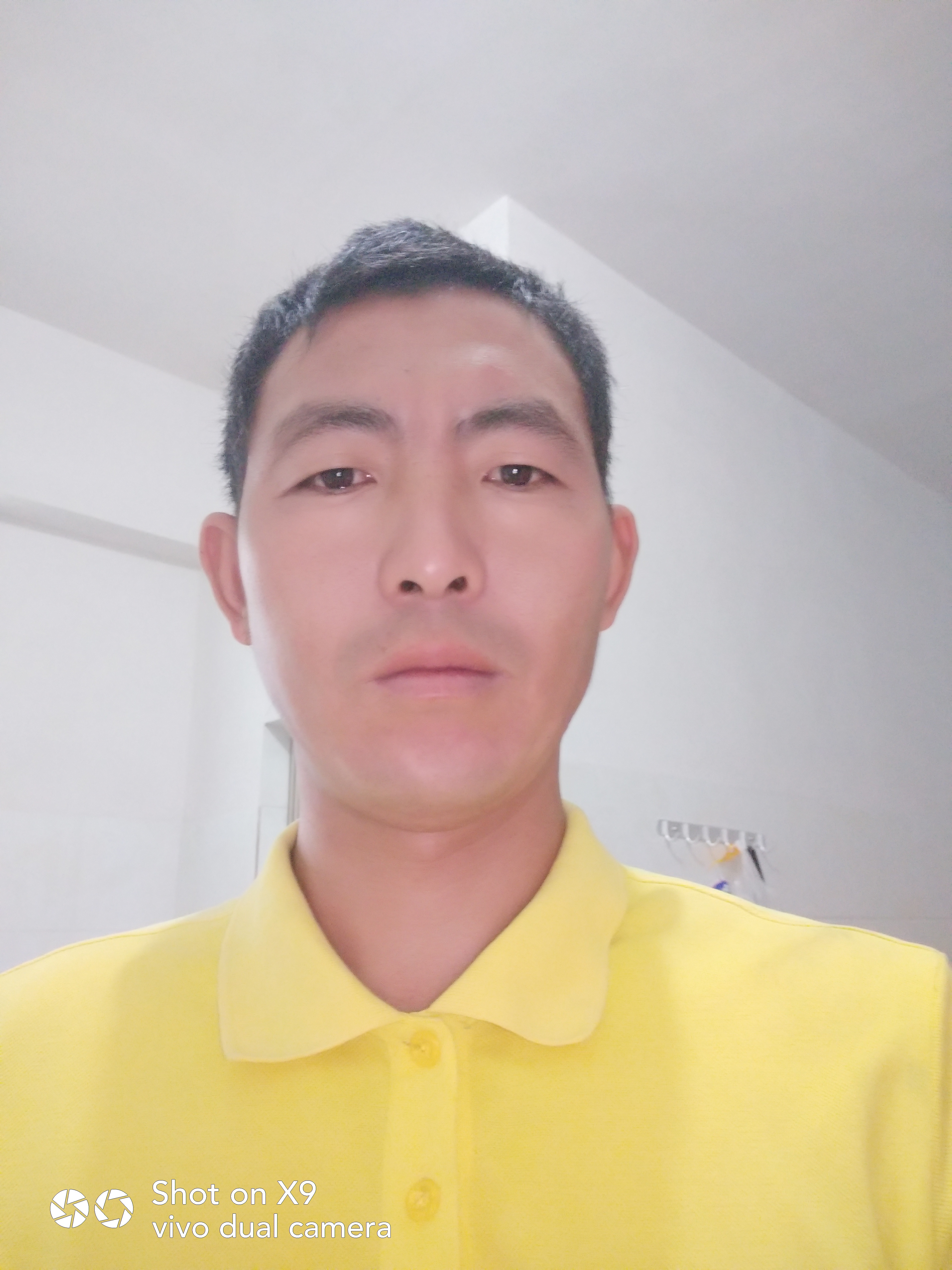 迷路的曲奇的照片