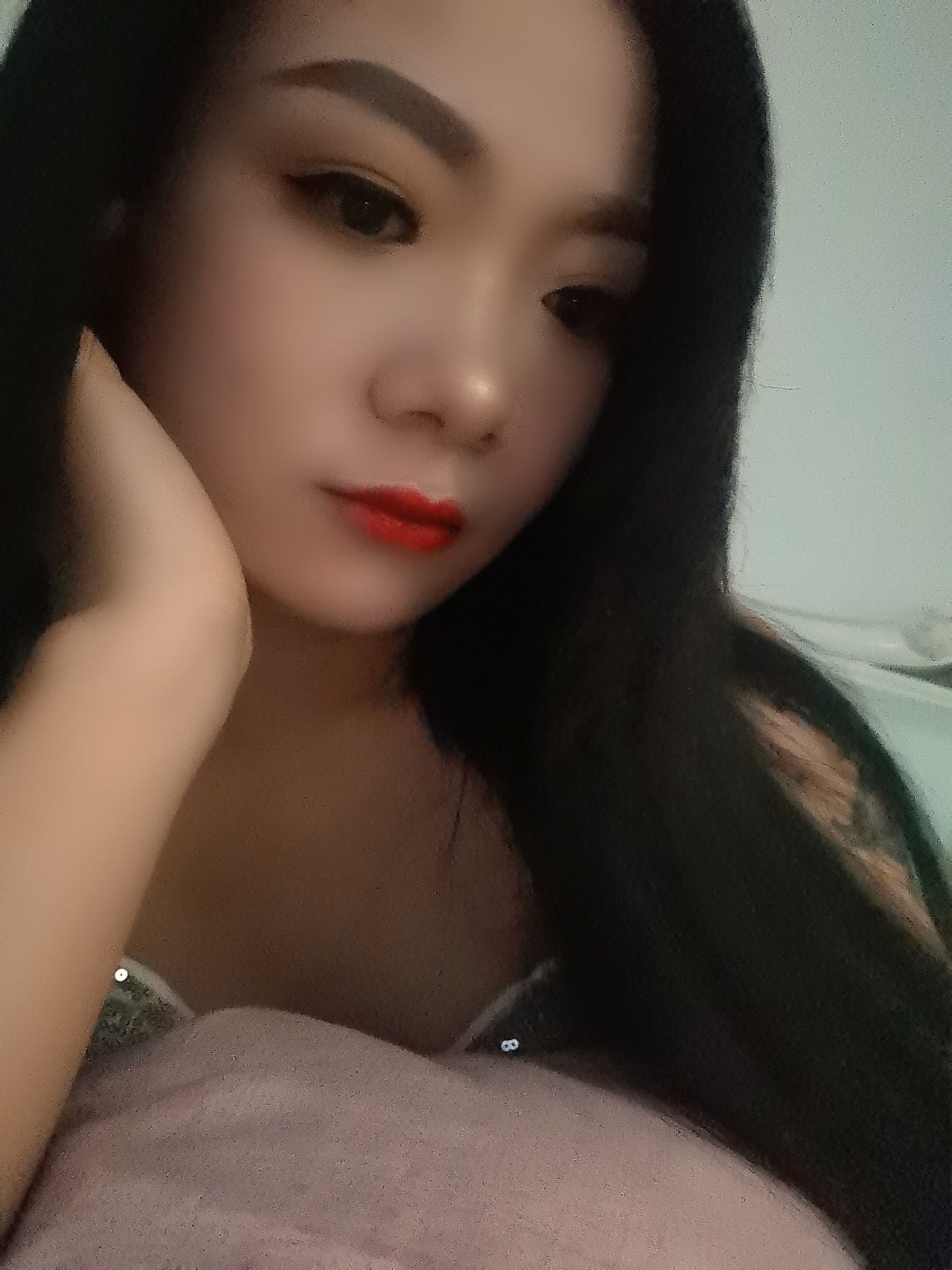 务实小海豚的照片