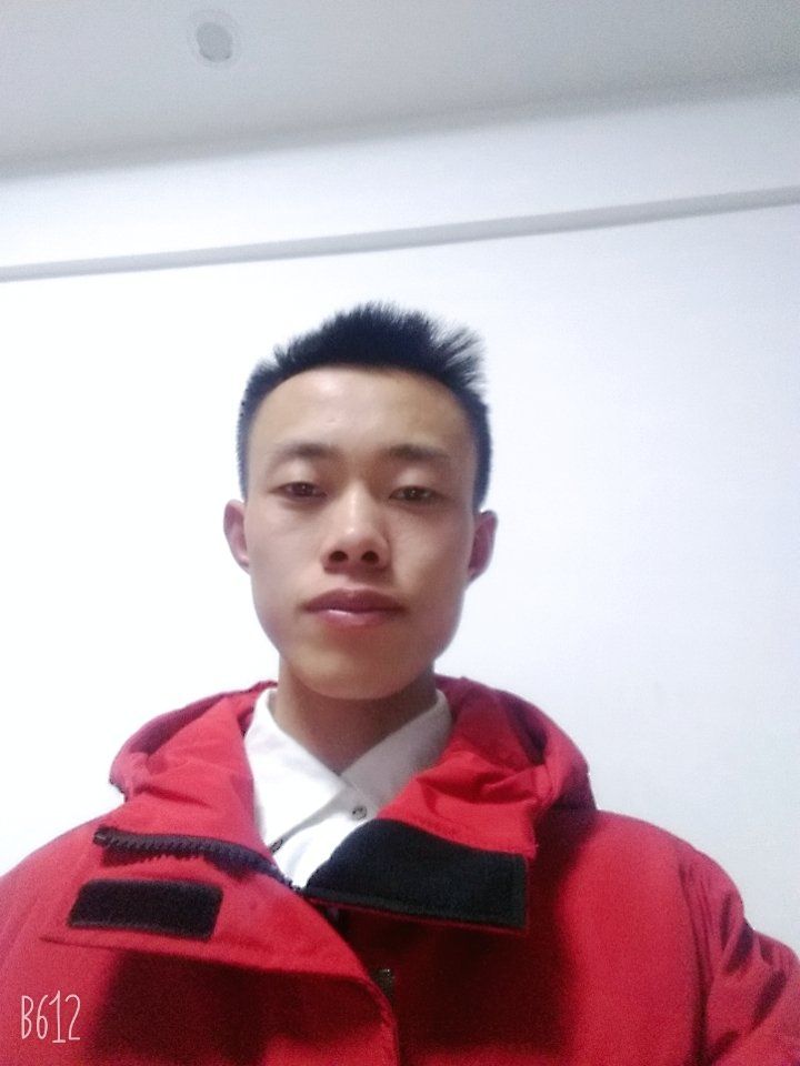 晨阳向孤独的照片