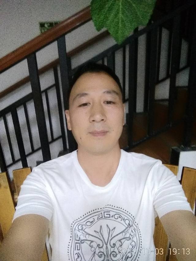 潇洒黄蜂的照片