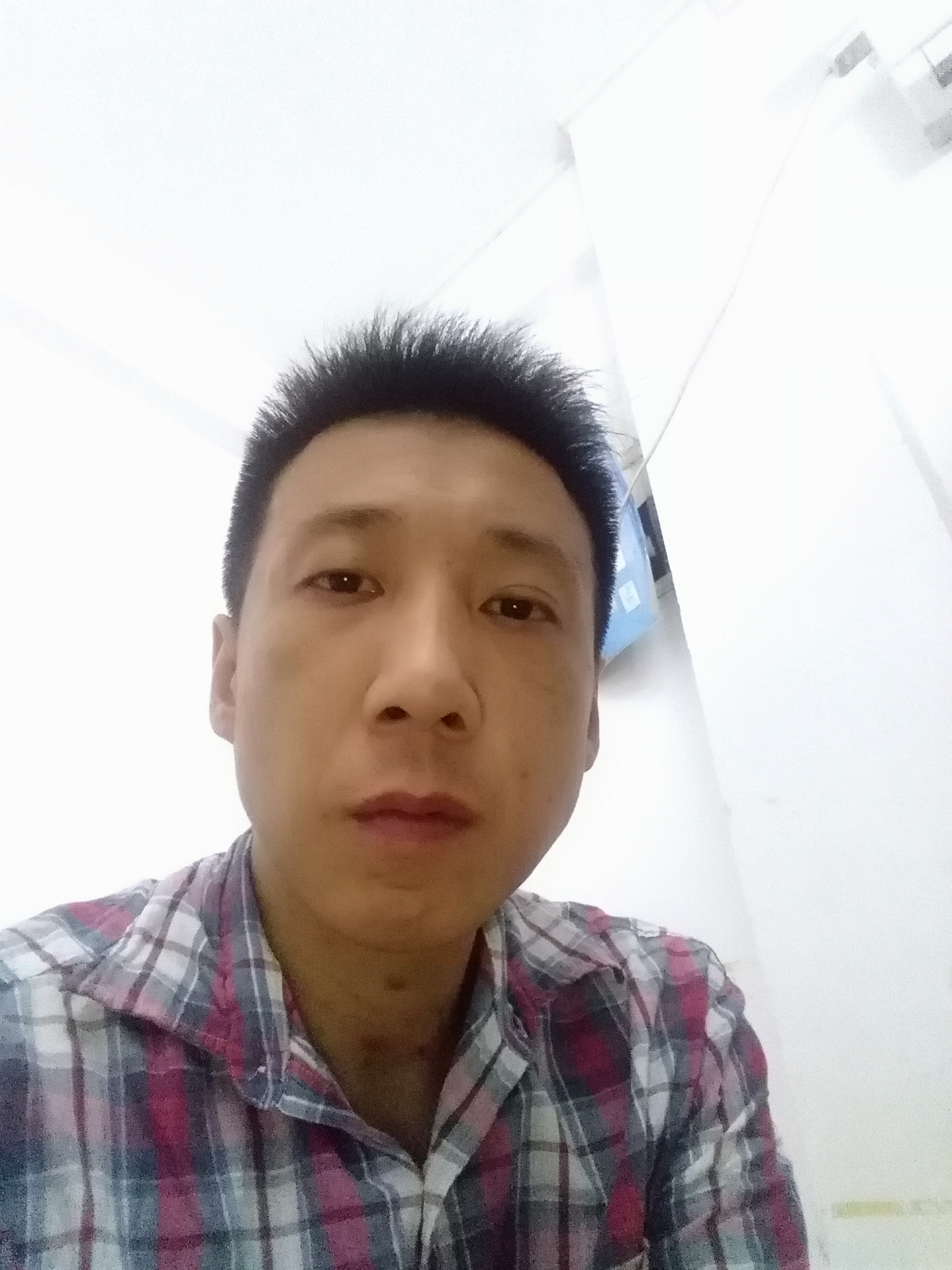 热刺的照片
