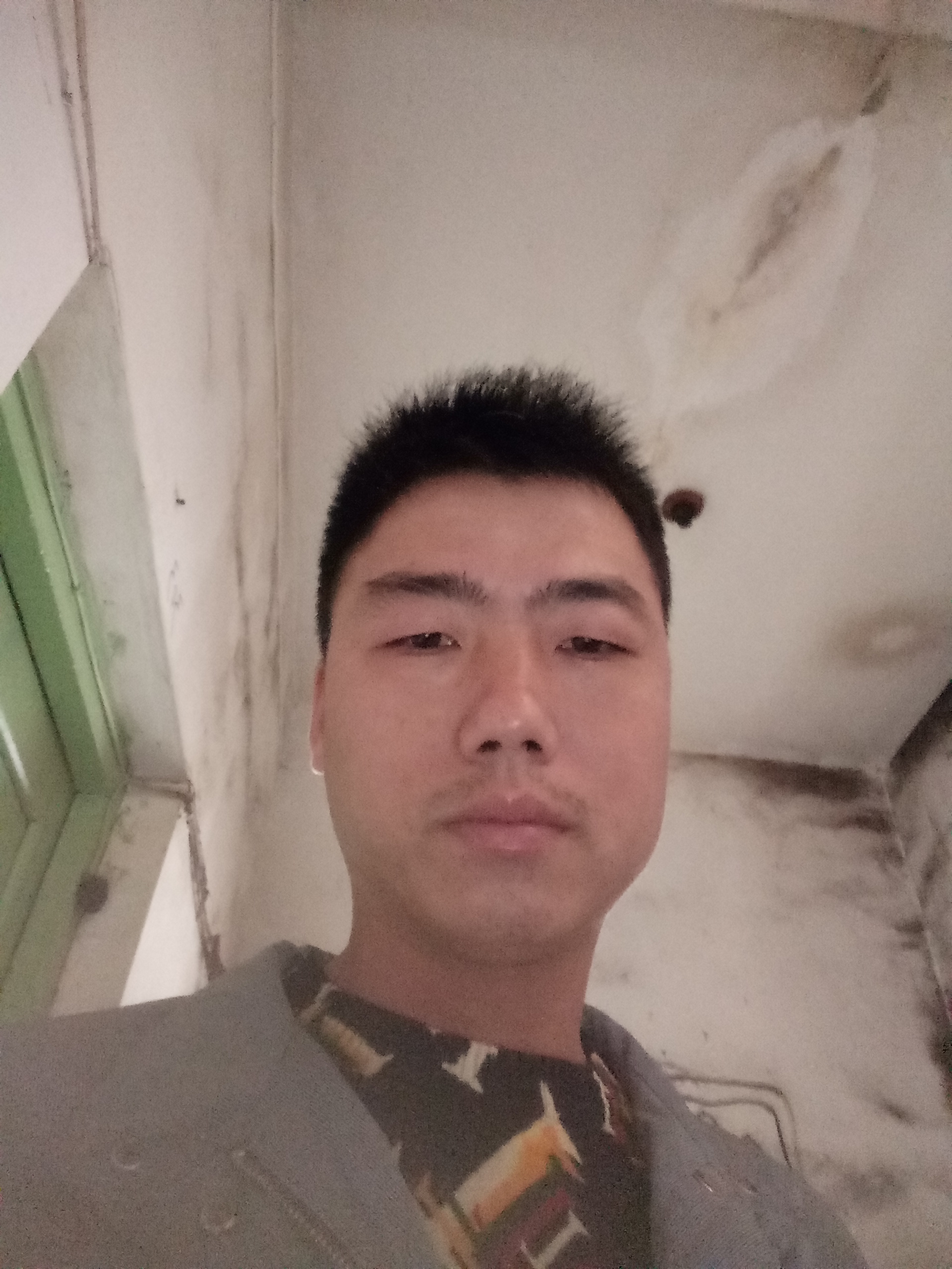 莫莫想你的照片