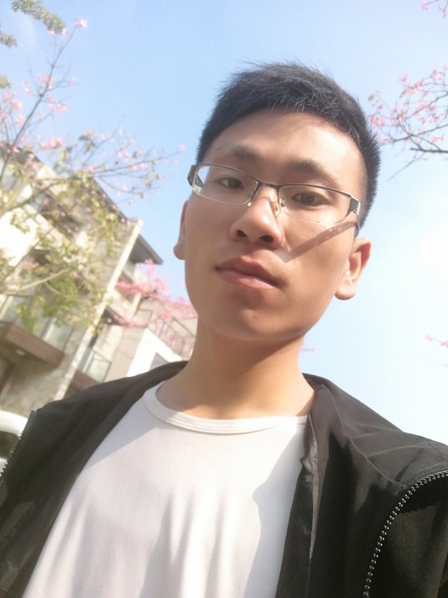 会员441432475的照片