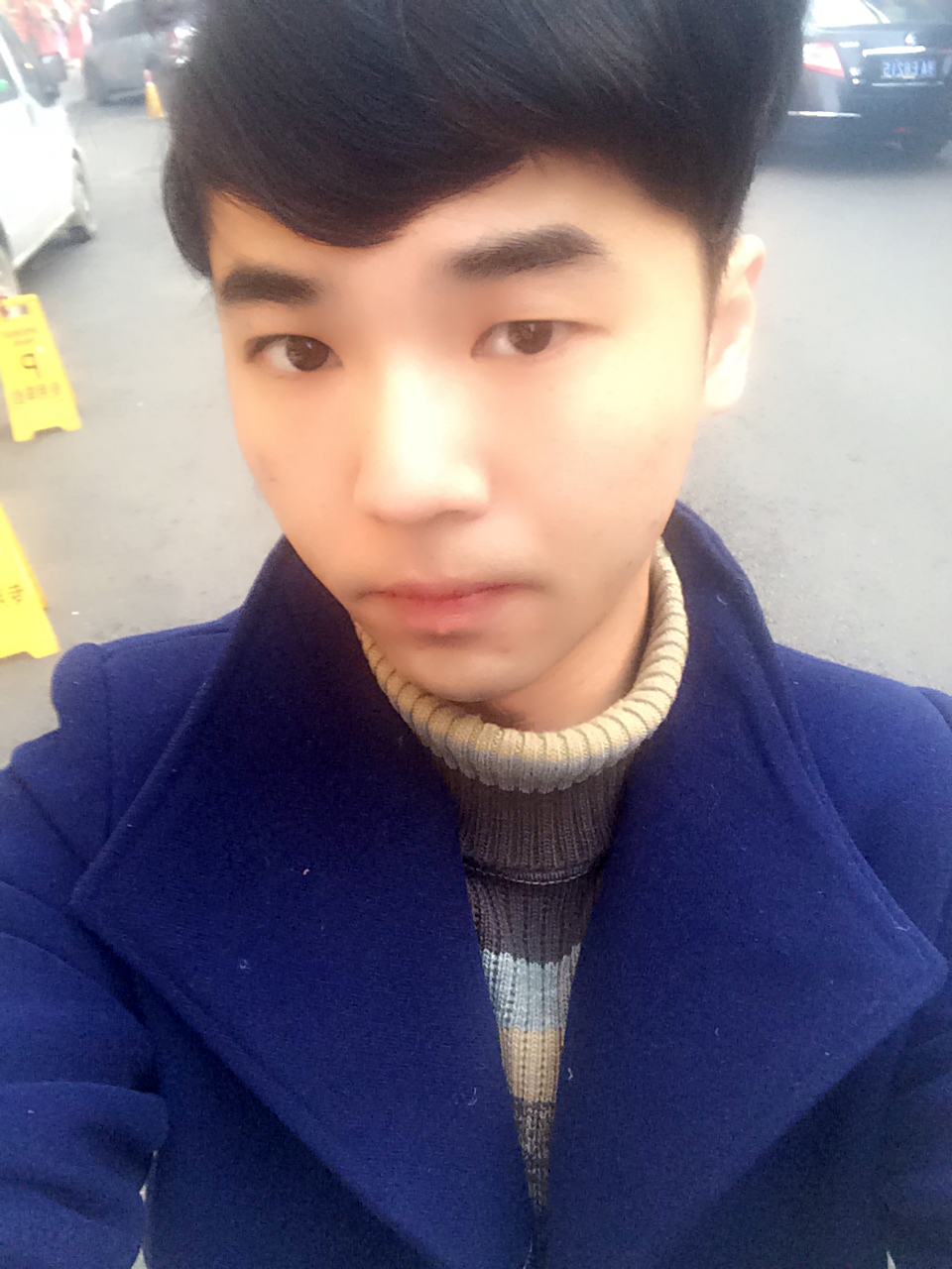 小鹿乱撞的照片