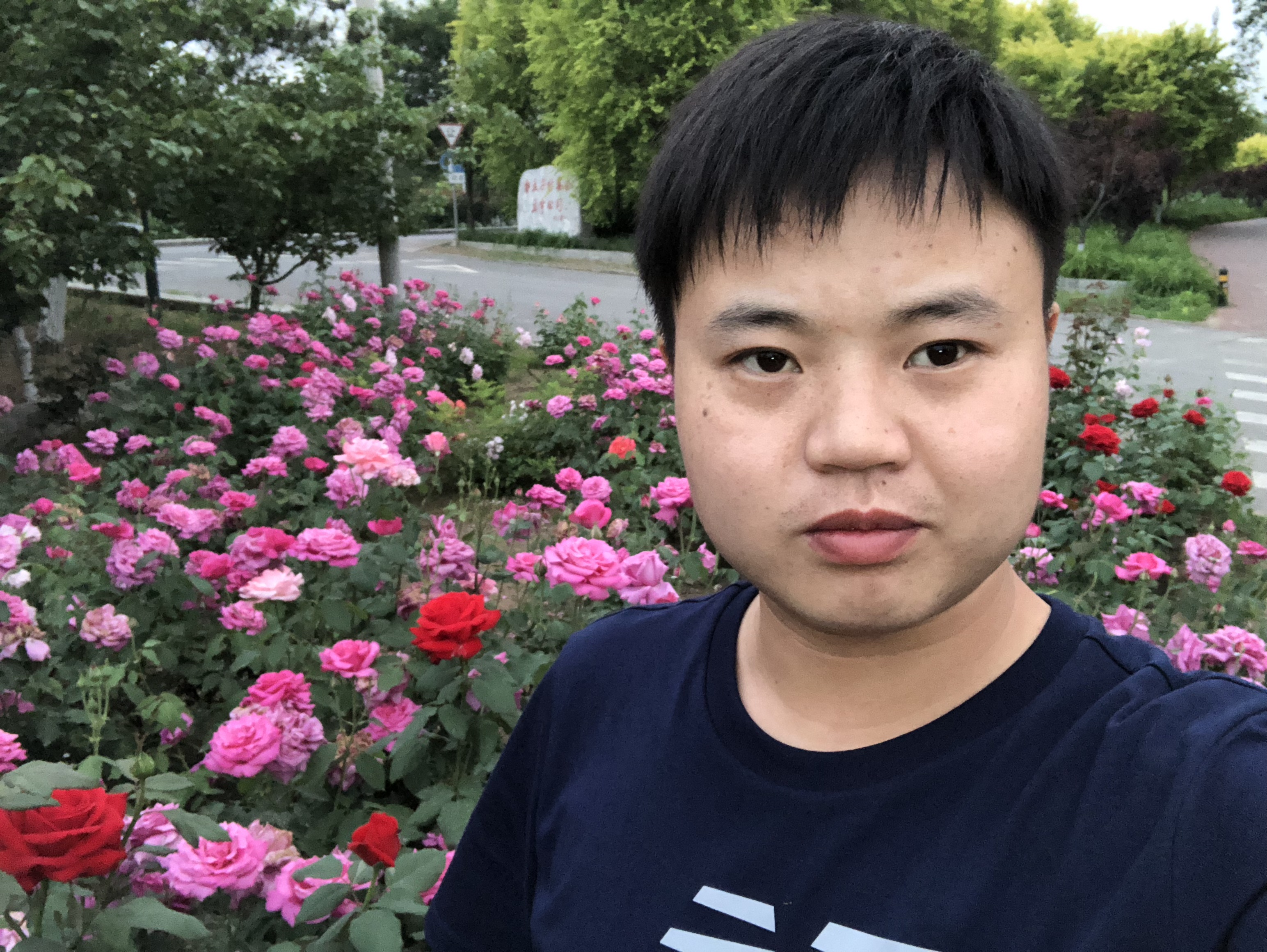 Shikai的照片