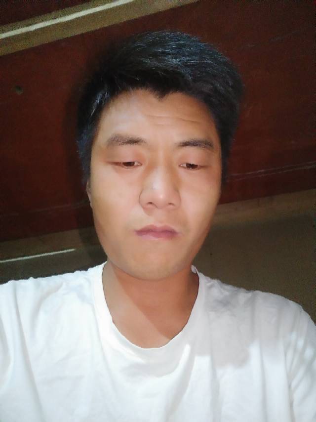 八四年的老鼠的照片