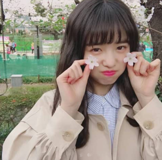 1朵無言花的照片