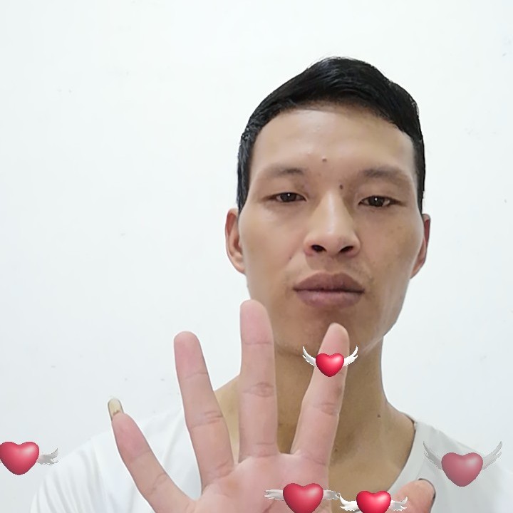 七度哈里的照片