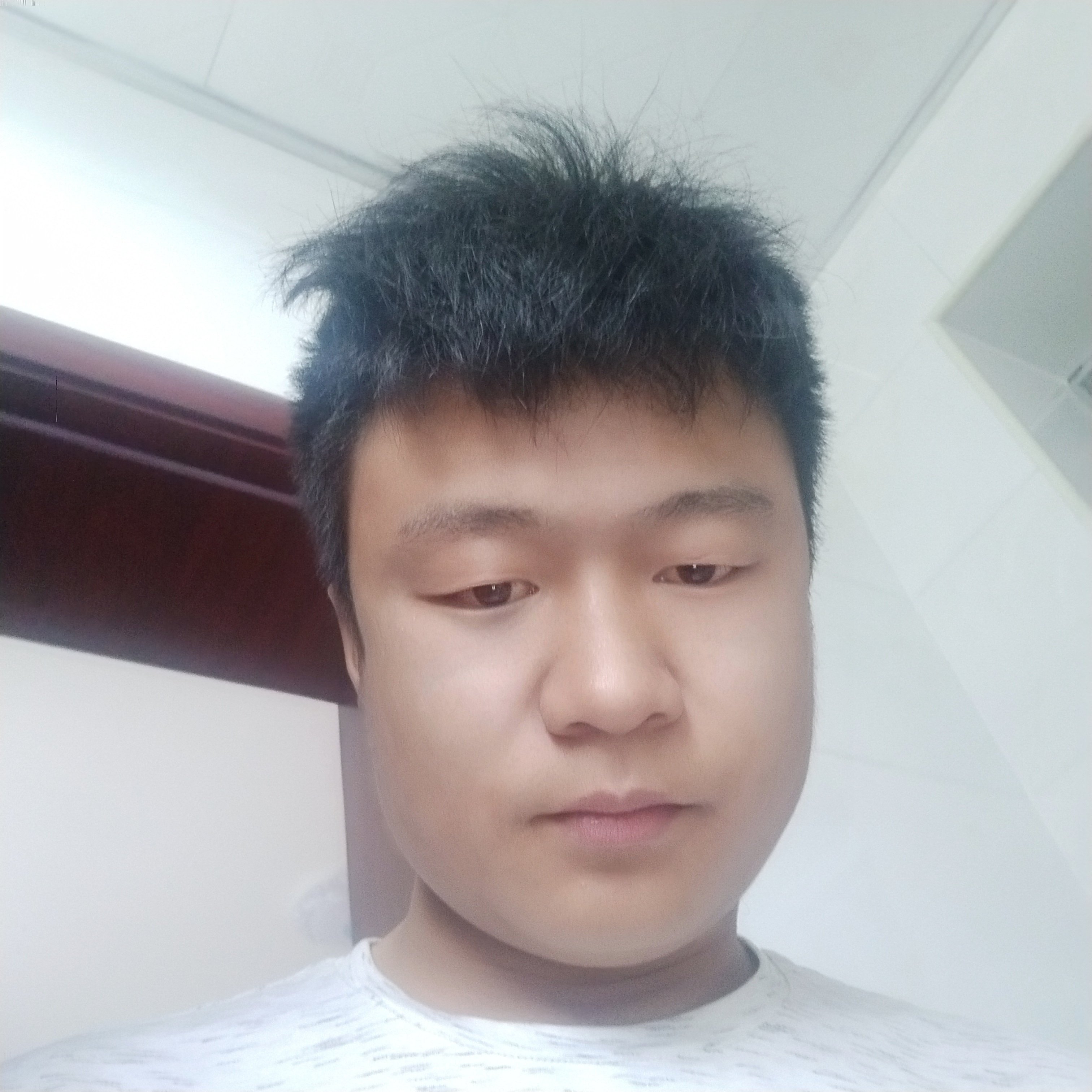 鸭嘴杯的照片