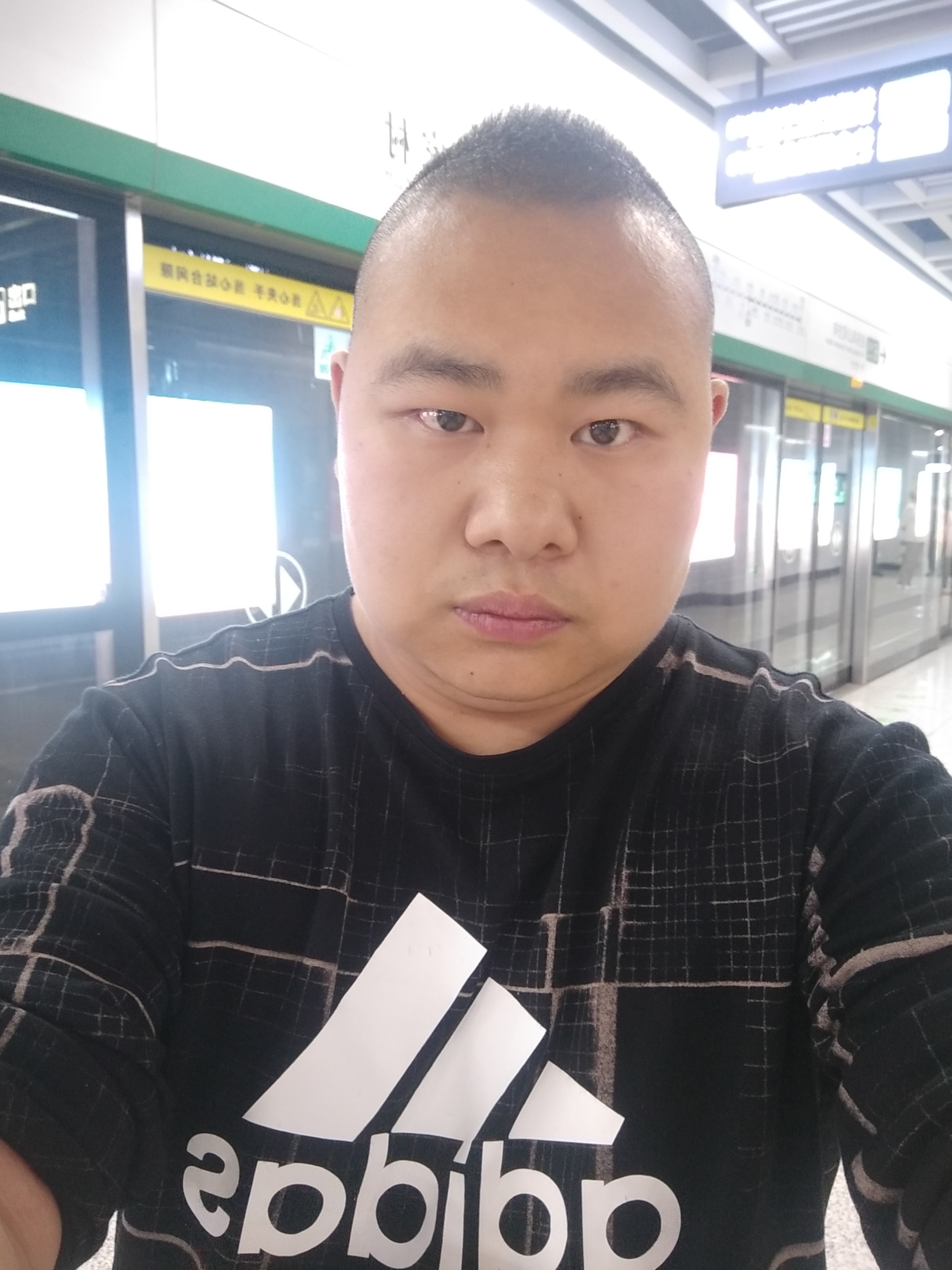 六六的照片