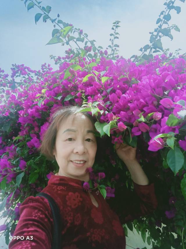 会员096278944的照片