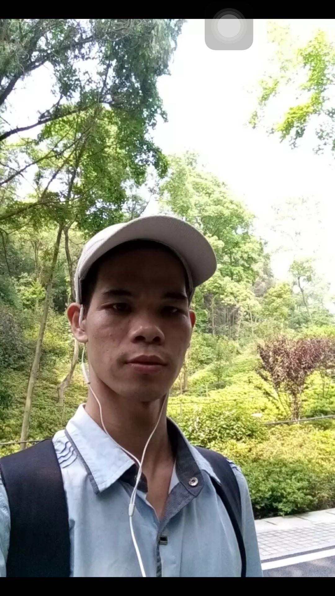 绿洲枫林的照片