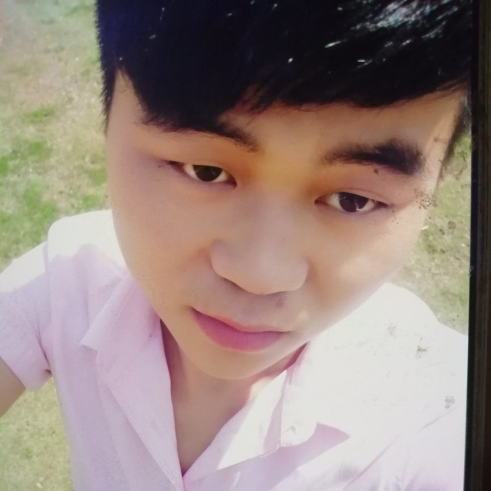 马深圳的照片