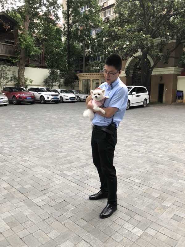番茄爱上鸡蛋的照片
