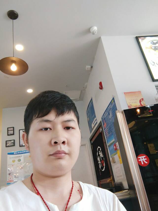 黄蜂复杂的照片