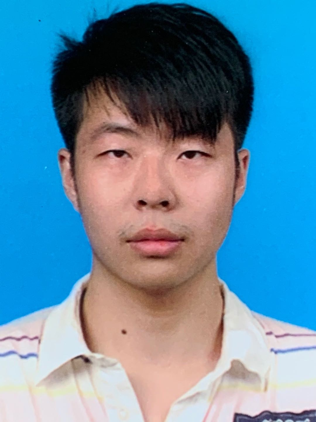 Roxs的照片