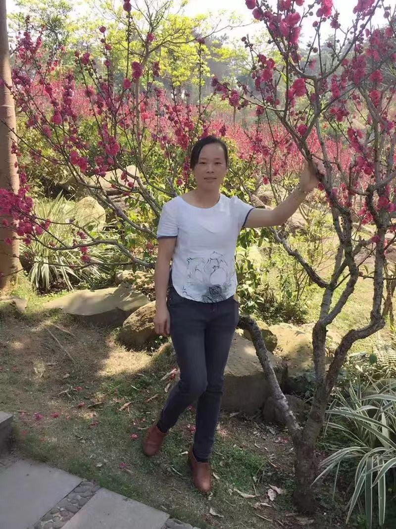 茶淡清香的照片