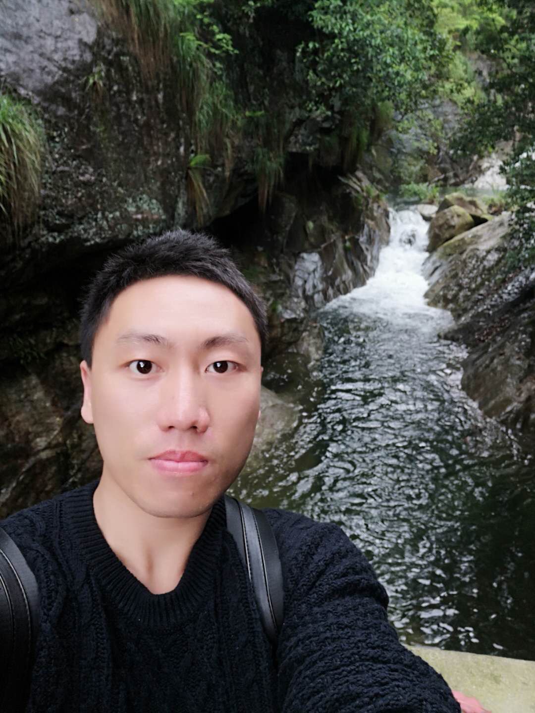 萌狗溜板的照片