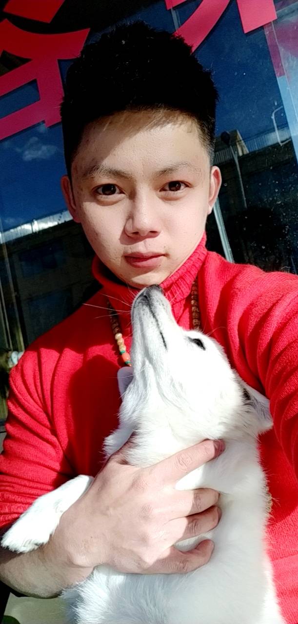 会员851890176的照片