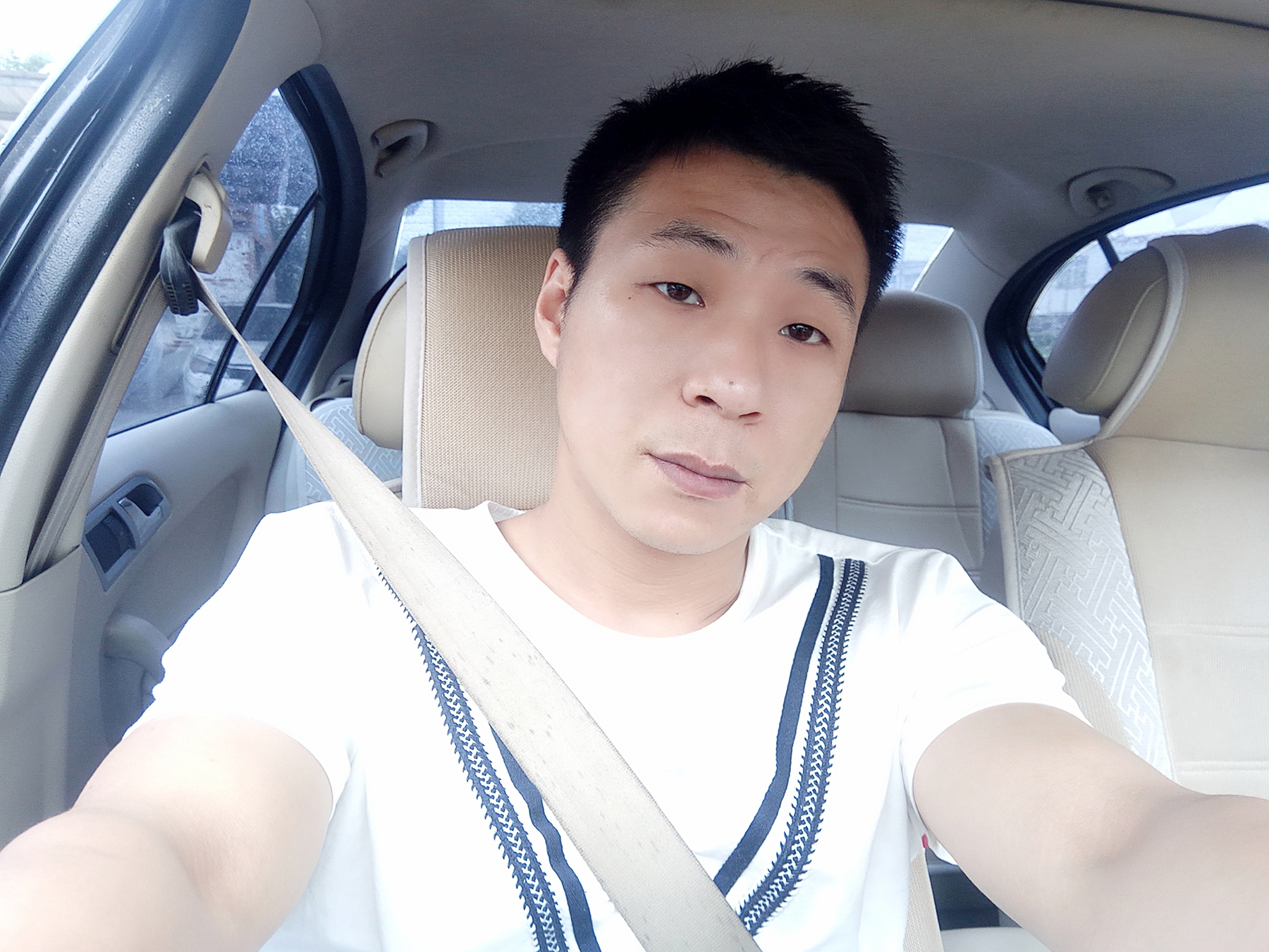 寻找最真诚的伴侣的照片