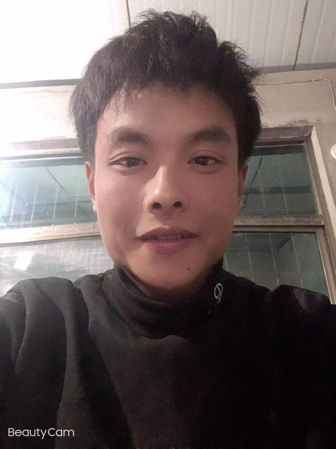 银宝的照片