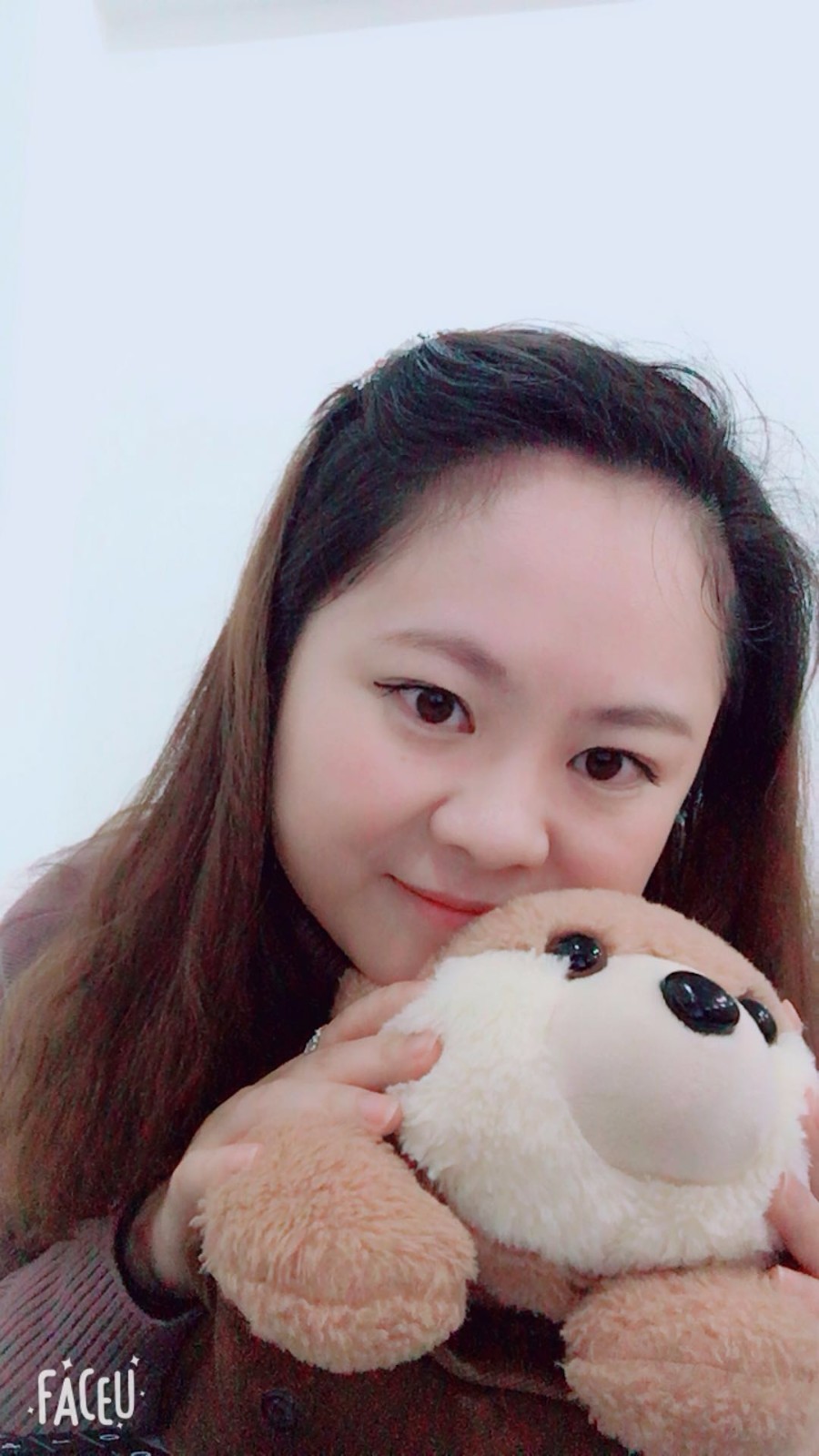 四叶草的照片