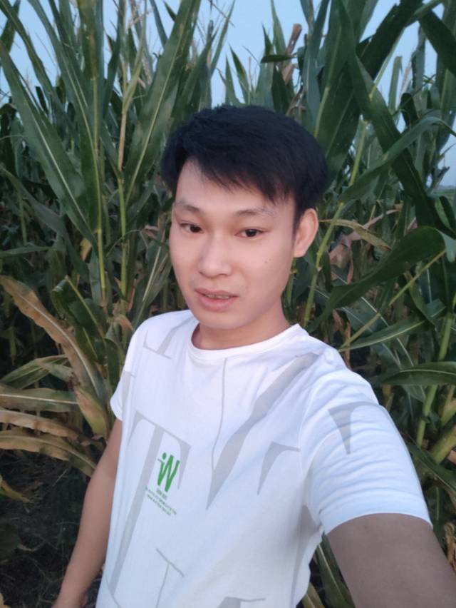 只为、、的照片