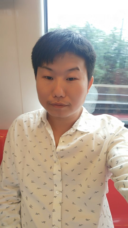 承诺的紫枫的照片